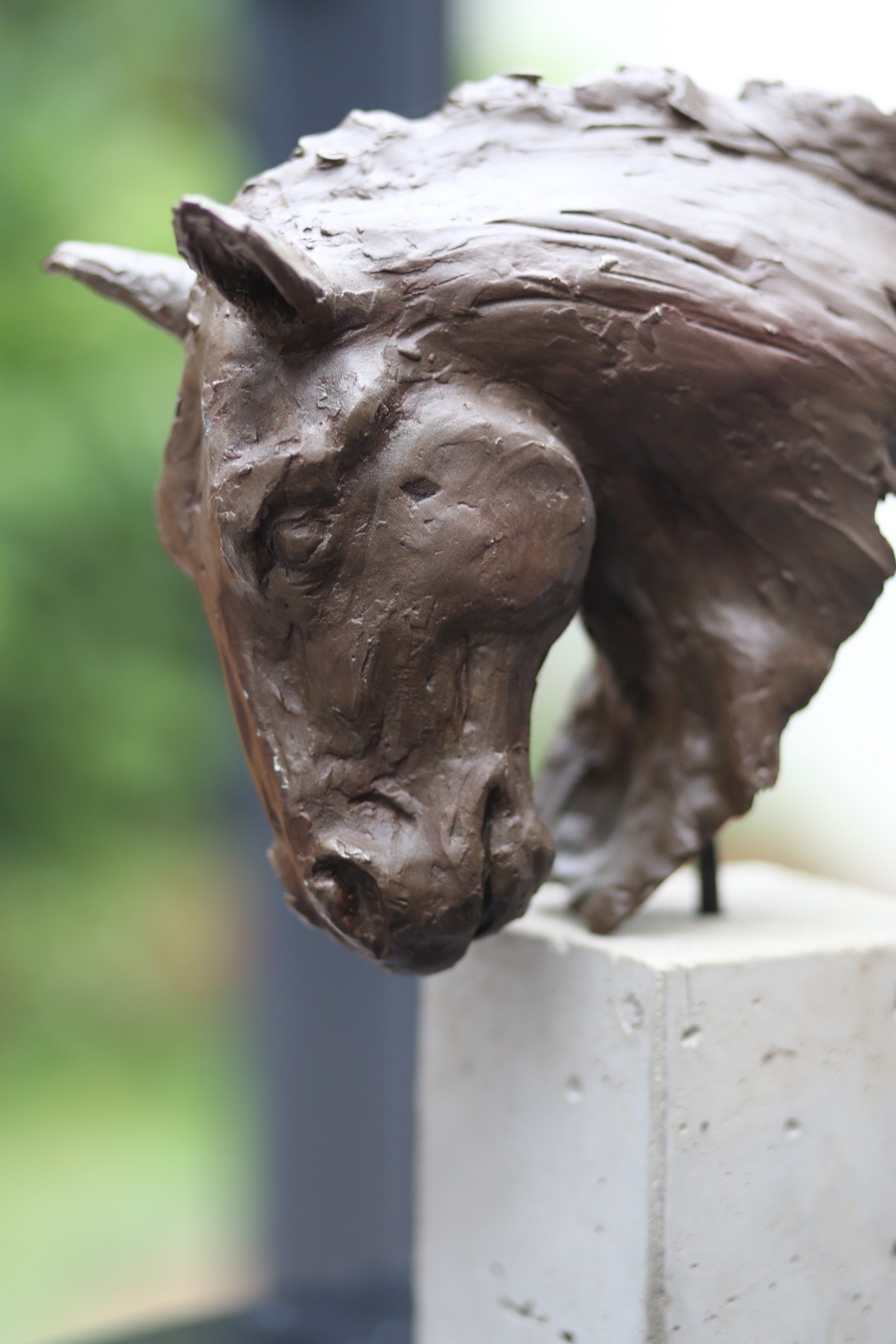 CHEV-001 - Tête de cheval - Vue 2 - Sculpture de Stéphane Pimienta