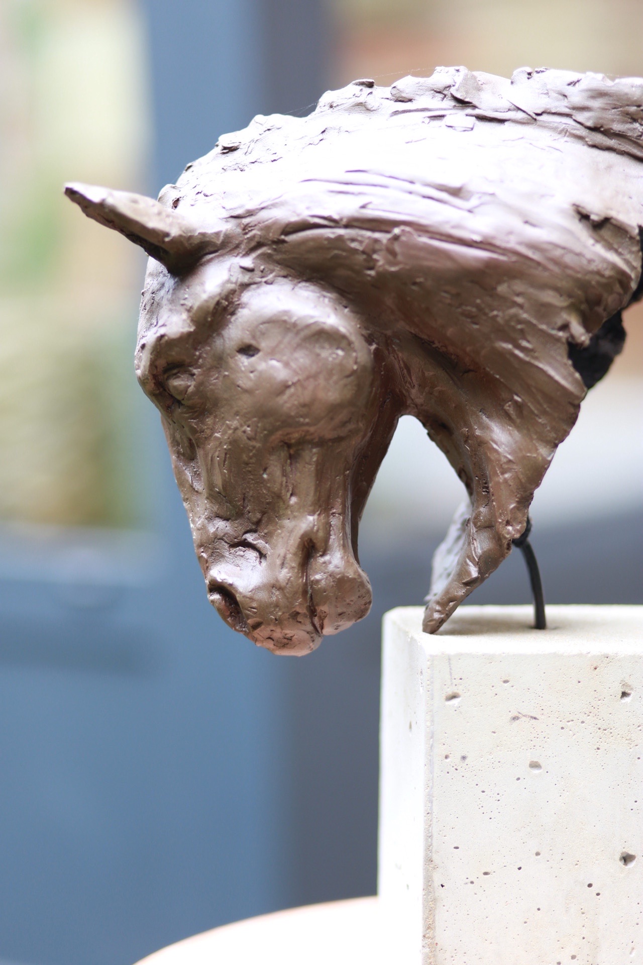 CHEV-001 - Tête de cheval - Vue 6 - Sculpture de Stéphane Pimienta