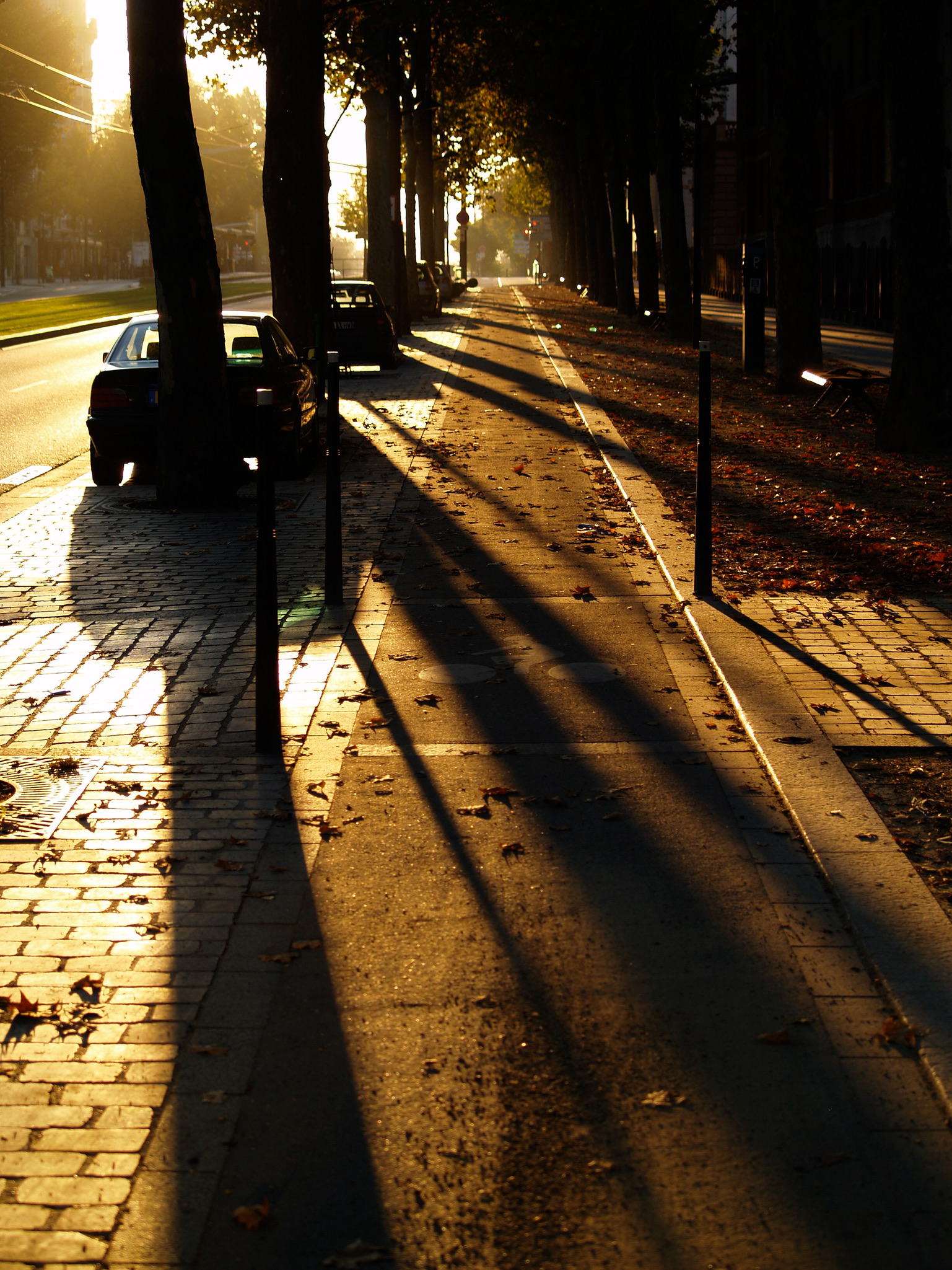 AMB-041 - Ambiance 41 - Portfolio Stéphane Pimienta