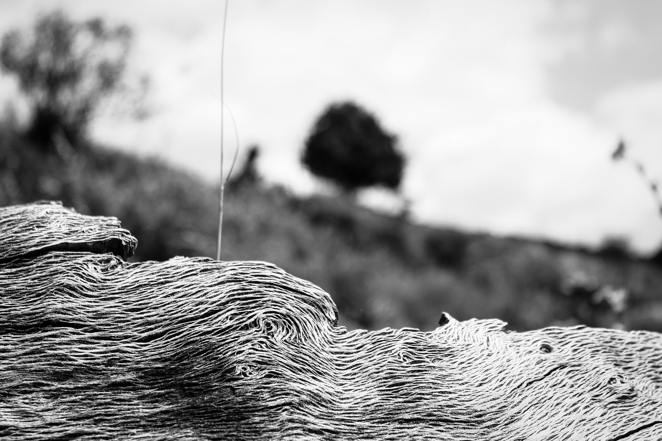 BW-017 - Noir & Blanc 17 - Portfolio Stéphane Pimienta