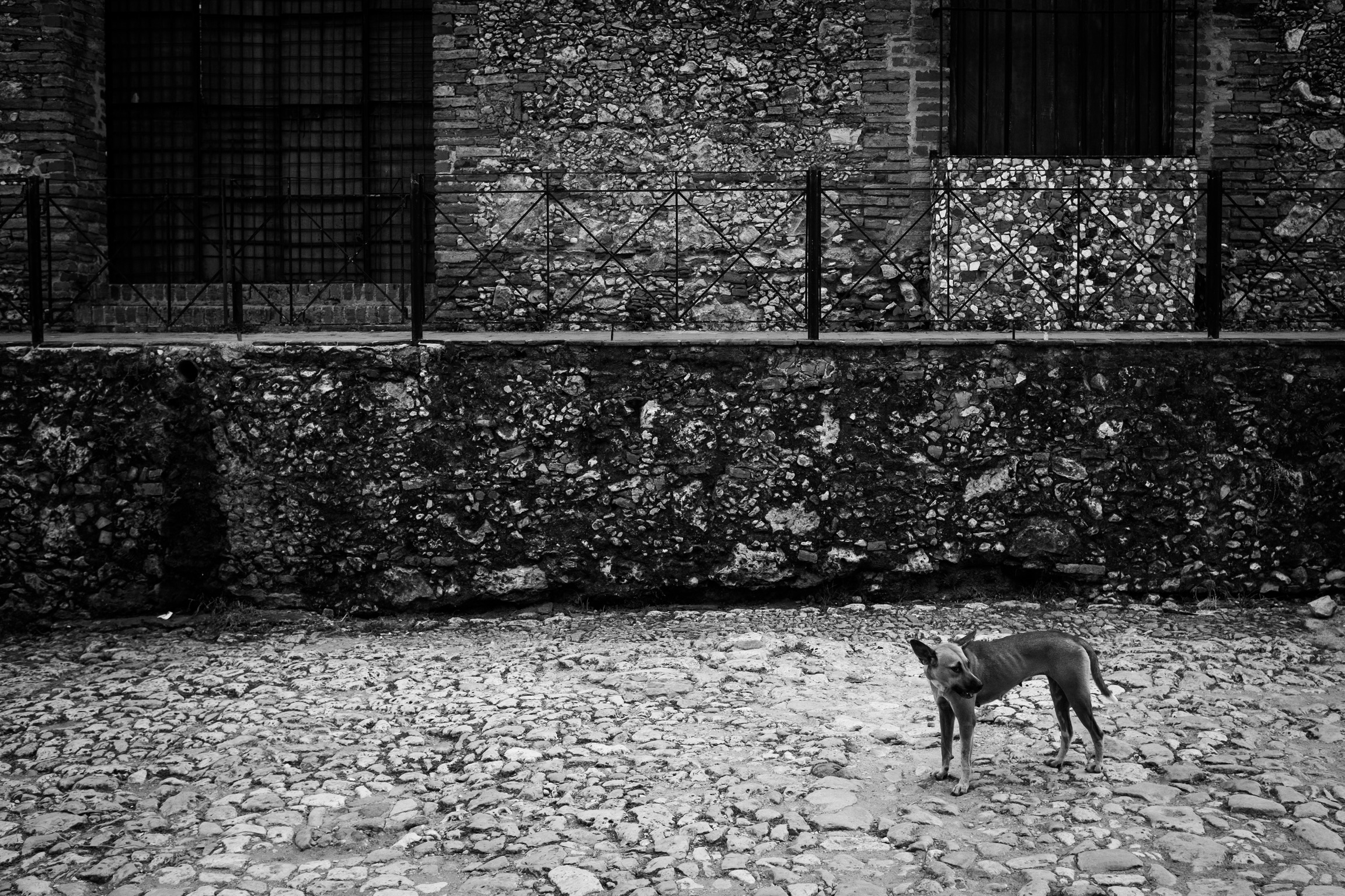 BW-026 - Noir & Blanc 26 - Portfolio Stéphane Pimienta