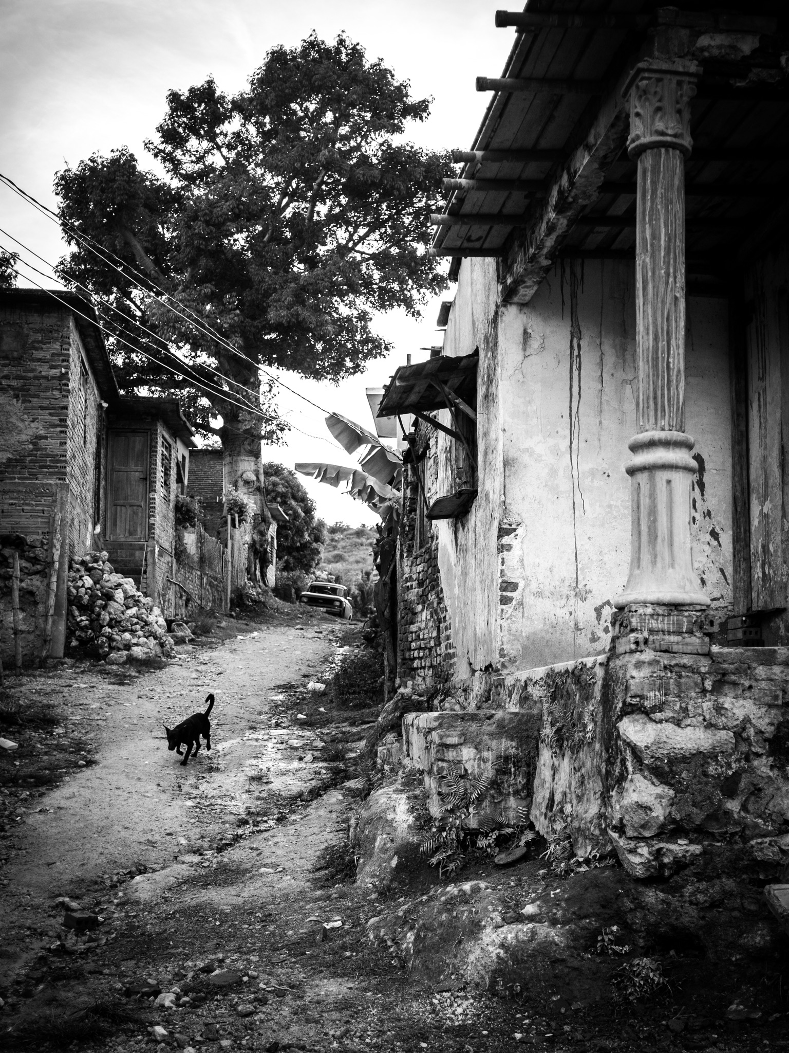 BW-028 - Noir & Blanc 28 - Portfolio Stéphane Pimienta