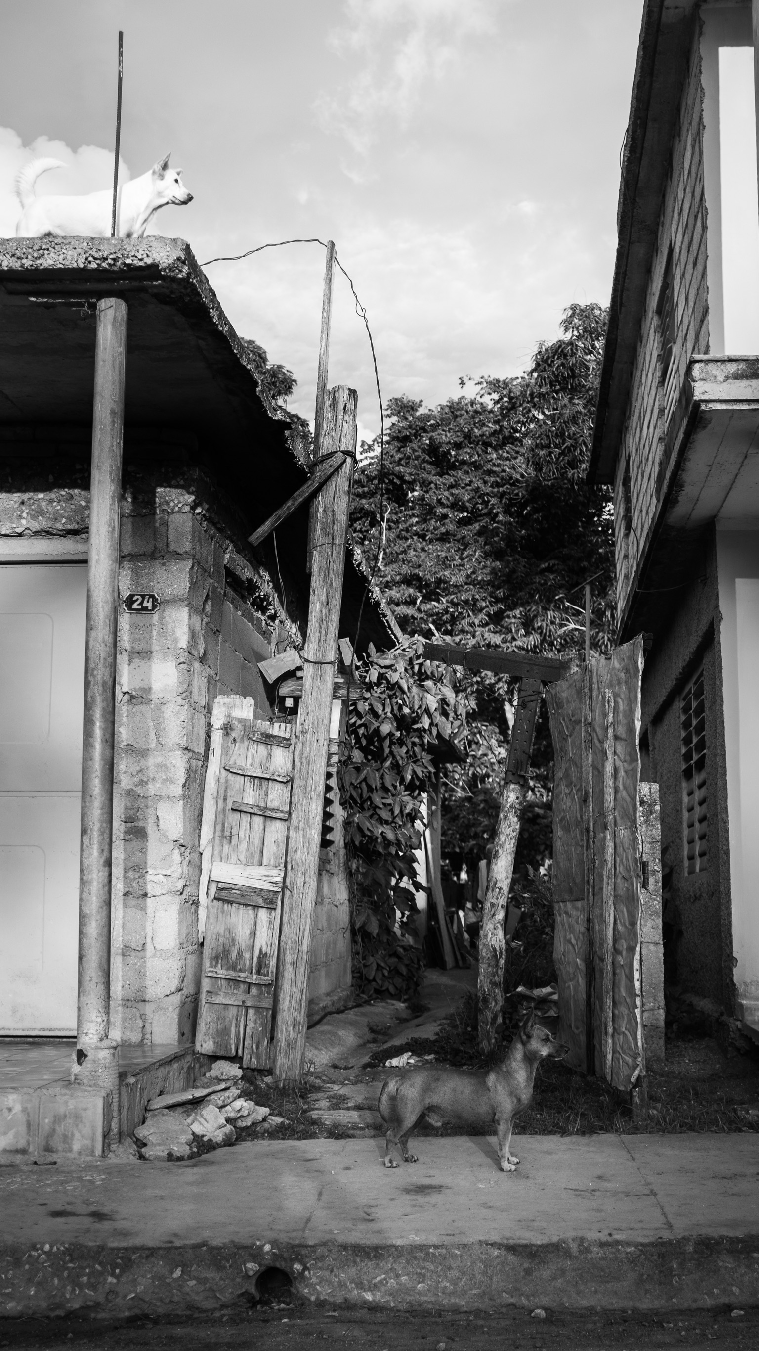 BW-031 - Noir & Blanc 31 - Portfolio Stéphane Pimienta