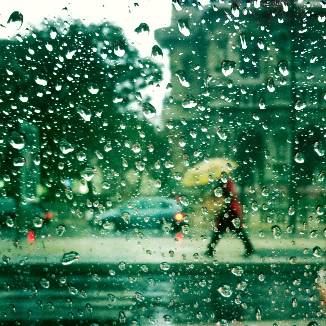 PP-002 - Portrait 2 - Portfolio Stéphane Pimienta