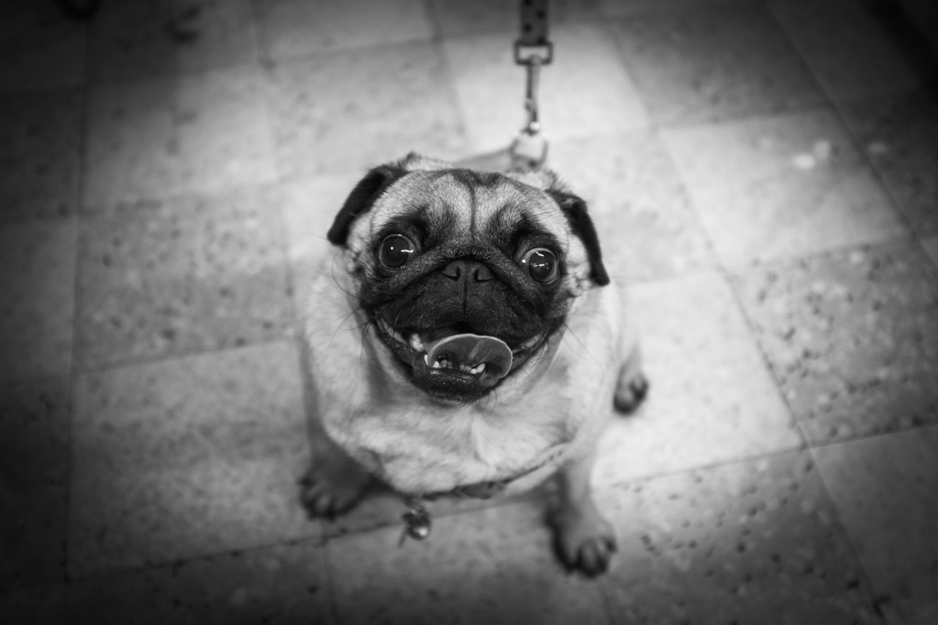 ST-002 - Street Photo 2 - Portfolio Stéphane Pimienta